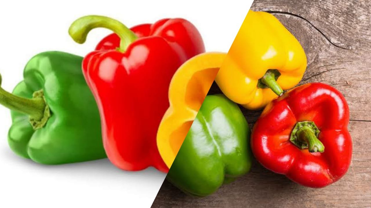 nutrition of capsicums