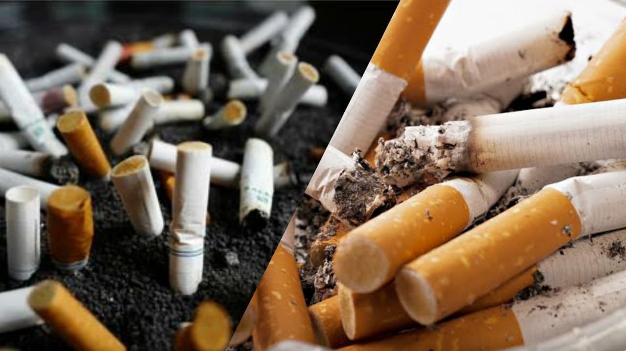 cigarette filters used in making essential commodities of daily life